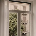 Sofia's